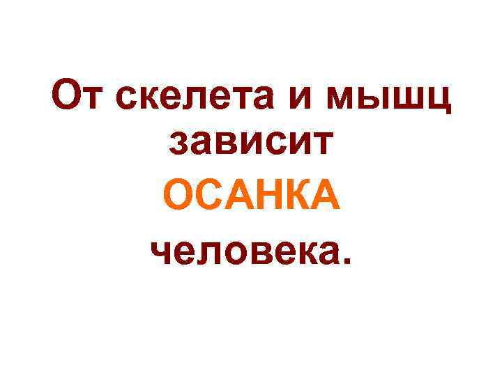 От скелета и мышц зависит ОСАНКА человека. 