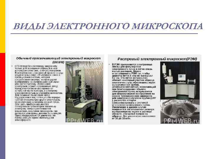 ВИДЫ ЭЛЕКТРОННОГО МИКРОСКОПА 