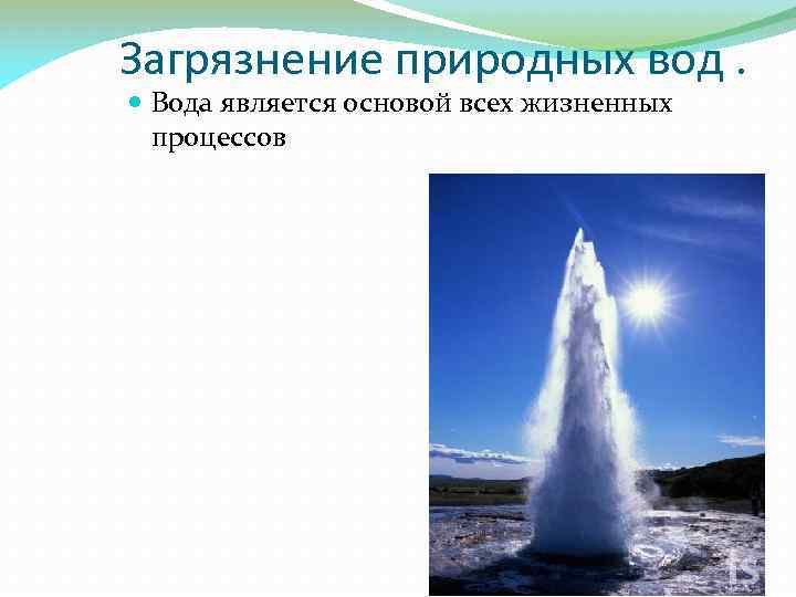 Загрязнение природных вод. Вода является основой всех жизненных процессов 