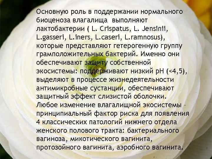 Основную роль в поддержании нормального биоценоза влагалища выполняют лактобактерии ( L. Crispatus, L. Jensinii,