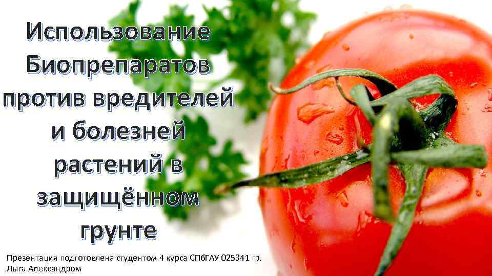 Использование Биопрепаратов против вредителей и болезней растений в защищённом грунте Презентация подготовлена студентом 4