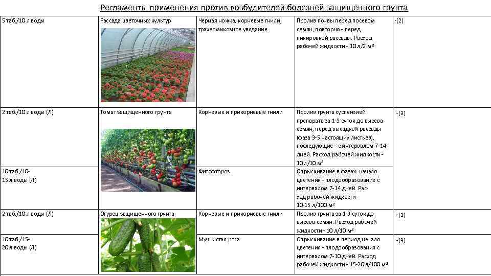 Регламенты применения против возбудителей болезней защищенного грунта 5 таб. /10 л воды Рассада цветочных