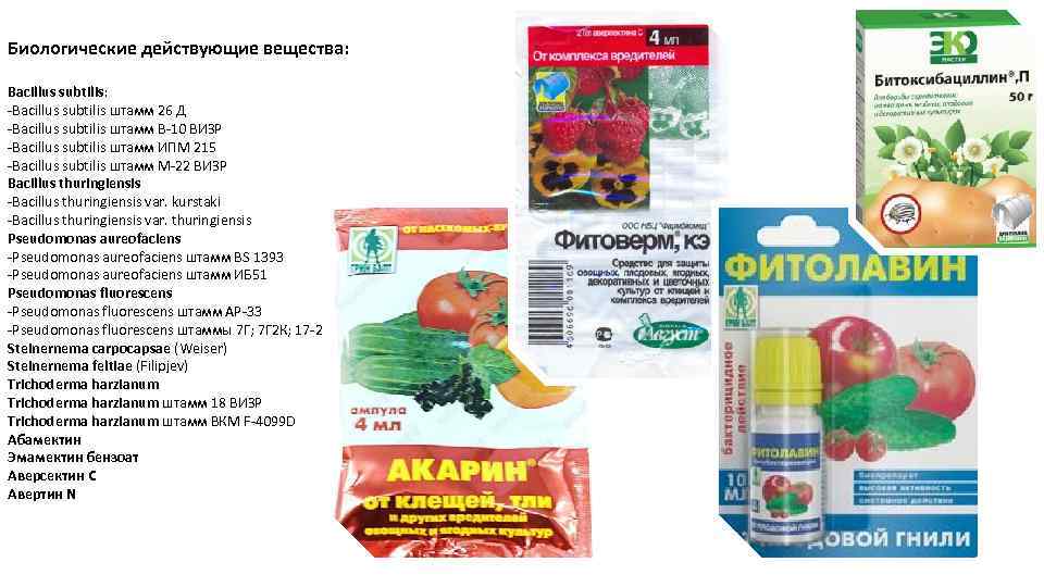 Биологические действующие вещества: Bacillus subtilis: -Bacillus subtilis штамм 26 Д -Bacillus subtilis штамм В-10
