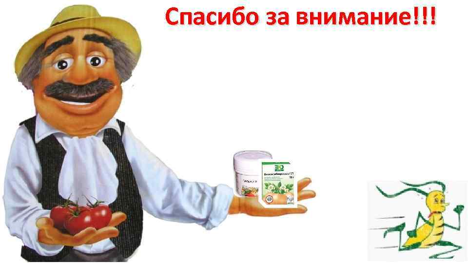 Спасибо за внимание!!! 