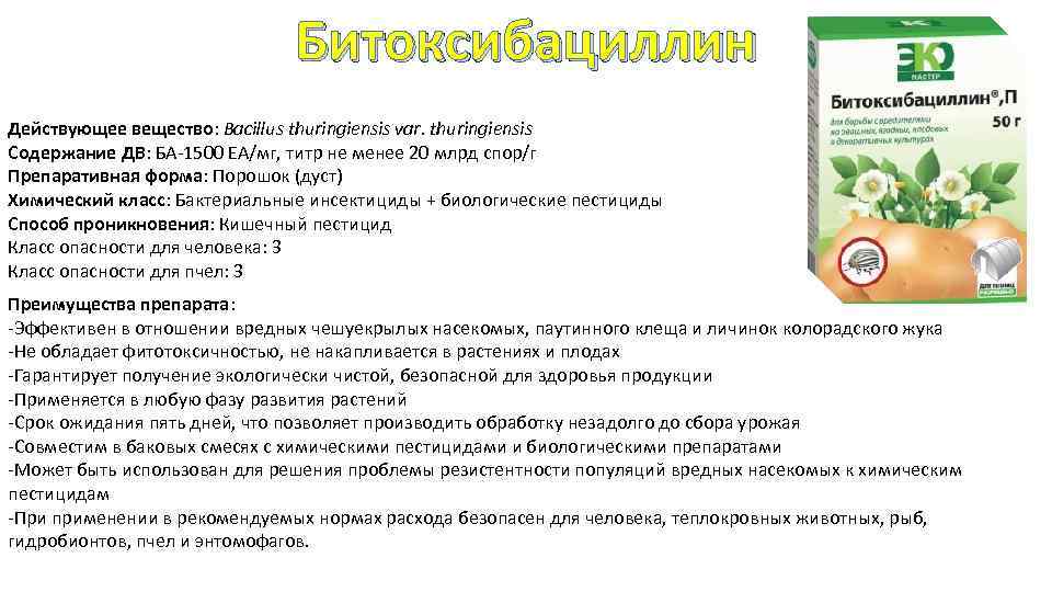 Битоксибациллин Действующее вещество: Bacillus thuringiensis var. thuringiensis Содержание ДВ: БА-1500 ЕА/мг, титр не менее
