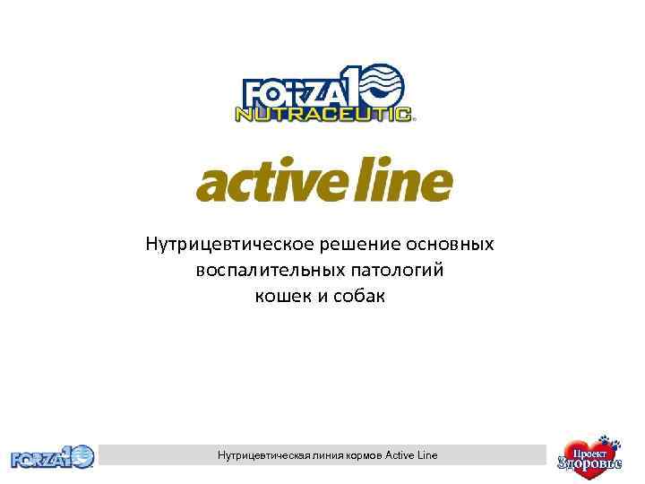 Нутрицевтическое решение основных воспалительных патологий кошек и собак Нутрицевтическая линия кормов Active Line 