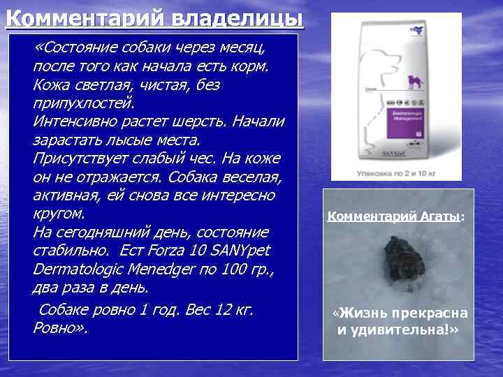 Комментарий владелицы «Состояние собаки через месяц, после того как начала есть корм. Кожа светлая,