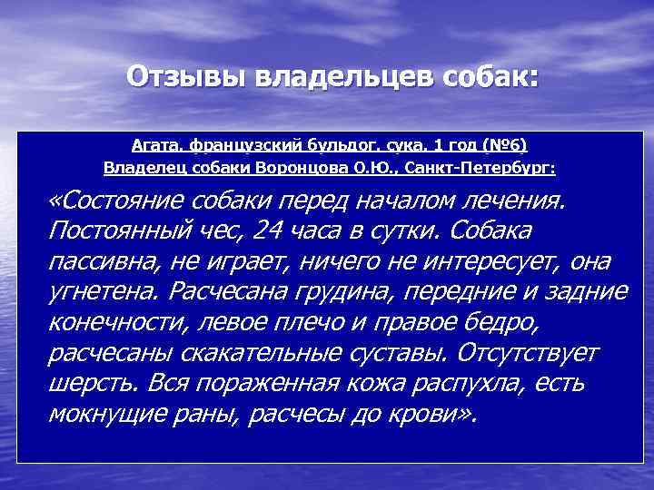 Отзывы владельцев собак: Агата, французский бульдог, сука, 1 год (№ 6) Владелец собаки Воронцова