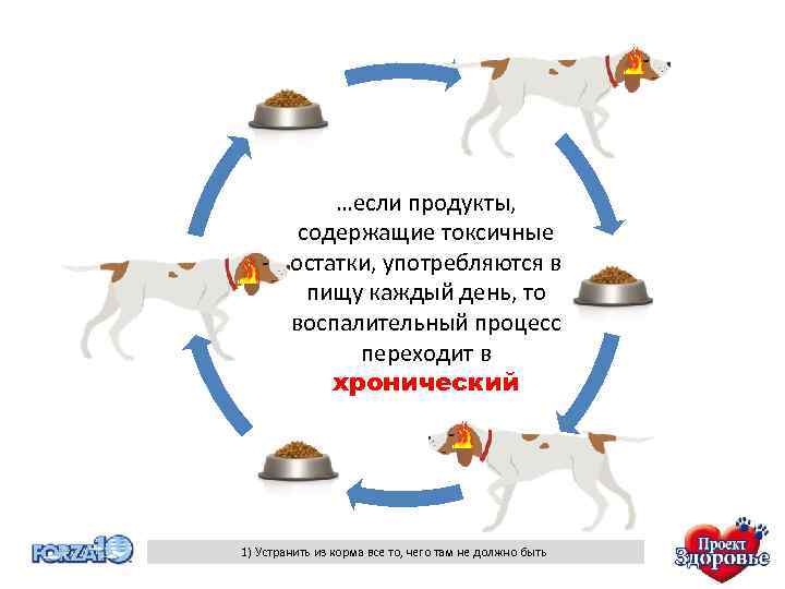 …если продукты, содержащие токсичные остатки, употребляются в пищу каждый день, то воспалительный процесс переходит