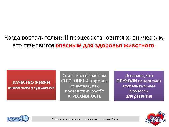 Когда воспалительный процесс становится хроническим, это становится опасным для здоровья животного. КАЧЕСТВО ЖИЗНИ животного
