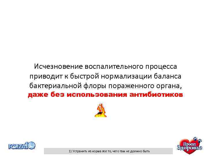 Исчезновение воспалительного процесса приводит к быстрой нормализации баланса бактериальной флоры пораженного органа, даже без