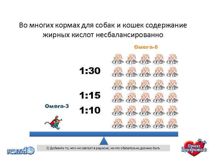 Во многих кормах для собак и кошек содержание жирных кислот несбалансированно Омега-6 1: 30