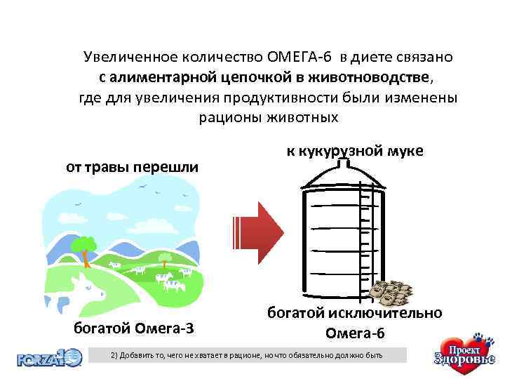 Увеличенное количество ОМЕГА-6 в диете связано с алиментарной цепочкой в животноводстве, где для увеличения