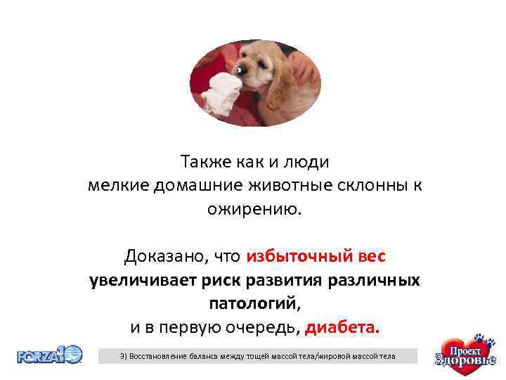 Также как и люди мелкие домашние животные склонны к ожирению. Доказано, что избыточный вес