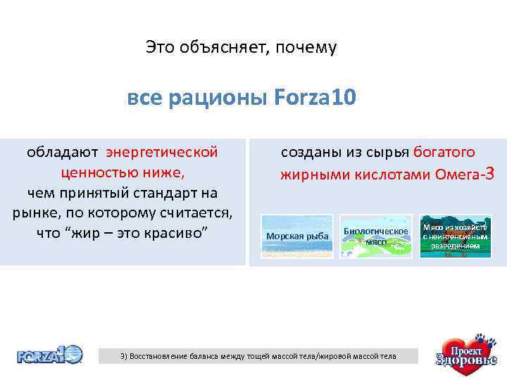 Это объясняет, почему все рационы Forza 10 обладают энергетической ценностью ниже, чем принятый стандарт