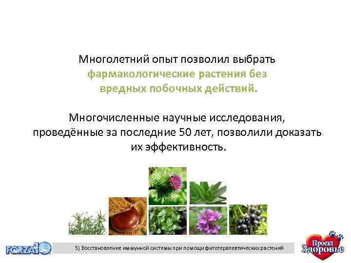 Многолетний опыт позволил выбрать фармакологические растения без вредных побочных действий. Многочисленные научные исследования, проведённые