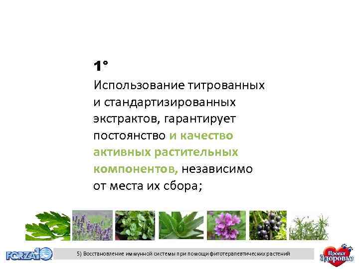 1° Использование титрованных и стандартизированных экстрактов, гарантирует постоянство и качество активных растительных компонентов, независимо