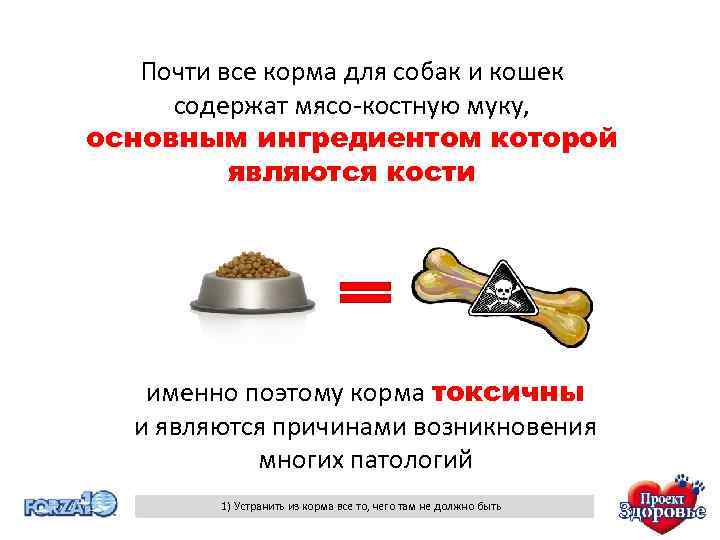 Почти все корма для собак и кошек содержат мясо-костную муку, основным ингредиентом которой являются