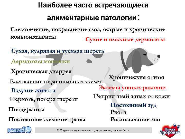 Наиболее часто встречающиеся алиментарные патологии: Слезотечение, покраснение глаз, острые и хронические коньюнктивиты Сухие и