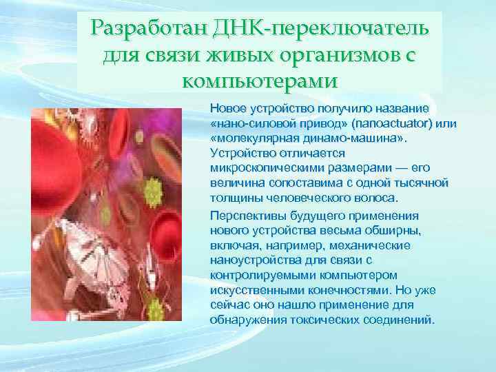 Разработан ДНК-переключатель для связи живых организмов с компьютерами Новое устройство получило название «нано-силовой привод»