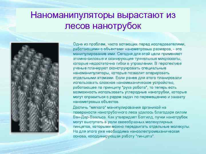 Наноманипуляторы вырастают из лесов нанотрубок Одна из проблем, часто встающих перед исследователями, работающими с