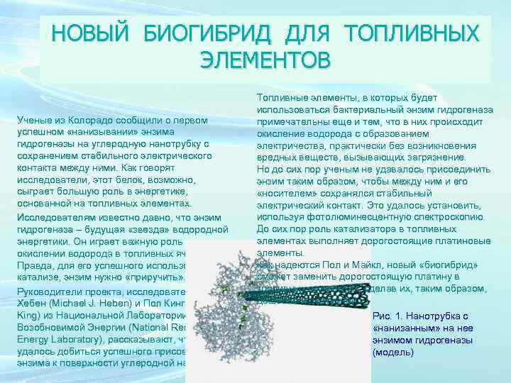 НОВЫЙ БИОГИБРИД ДЛЯ ТОПЛИВНЫХ ЭЛЕМЕНТОВ Ученые из Колорадо сообщили о первом успешном «нанизывании» энзима