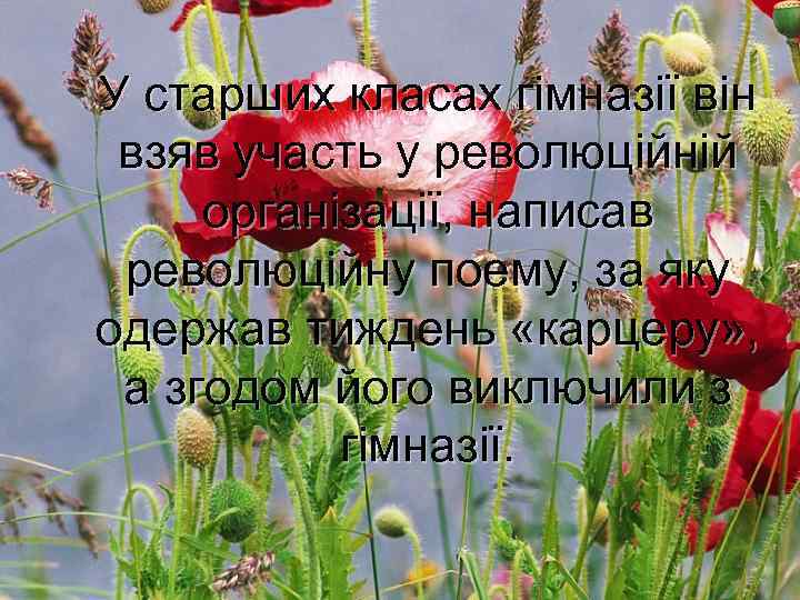 У старших класах гімназії він взяв участь у революційній організації, написав революційну поему, за