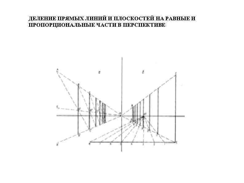 ДЕЛЕНИЕ ПРЯМЫХ ЛИНИЙ И ПЛОСКОСТЕЙ НА РАВНЫЕ И ПРОПОРЦИОНАЛЬНЫЕ ЧАСТИ В ПЕРСПЕКТИВЕ 