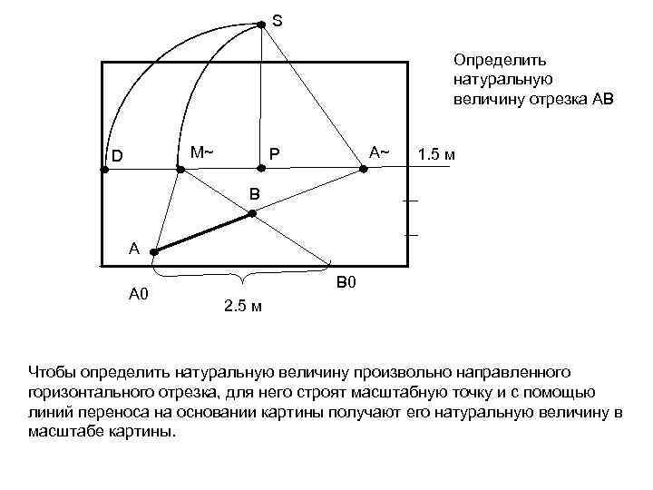 S Определить натуральную величину отрезка АВ М~ D А~ Р 1. 5 м В