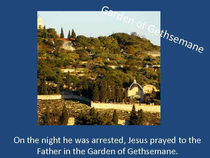 Gar den of G eth sem ane On the night he was arrested, Jesus