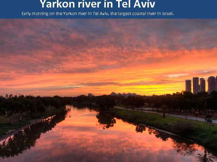 Yarkon river in Tel Aviv Early morning on the Yarkon river in Tel Aviv,