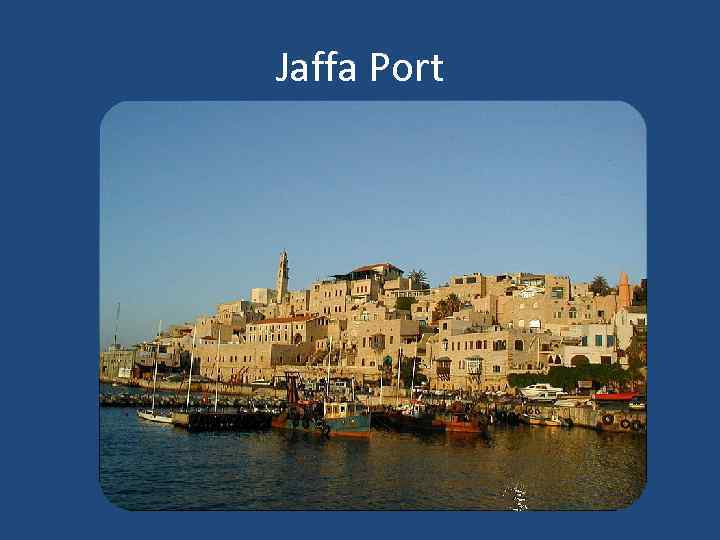 Jaffa Port 