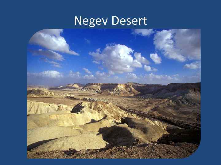 Negev Desert 