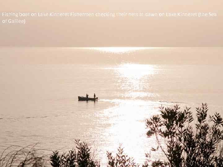 Fishing boat on Lake Kinneret Fishermen checking their nets at dawn on Lake Kinneret