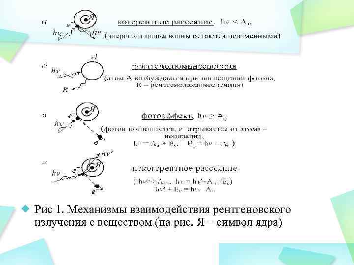 Рис 1. Механизмы взаимодействия рентгеновского излучения с веществом (на рис. Я – символ ядра)