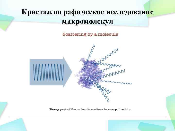 Кристаллографическое исследование макромолекул 