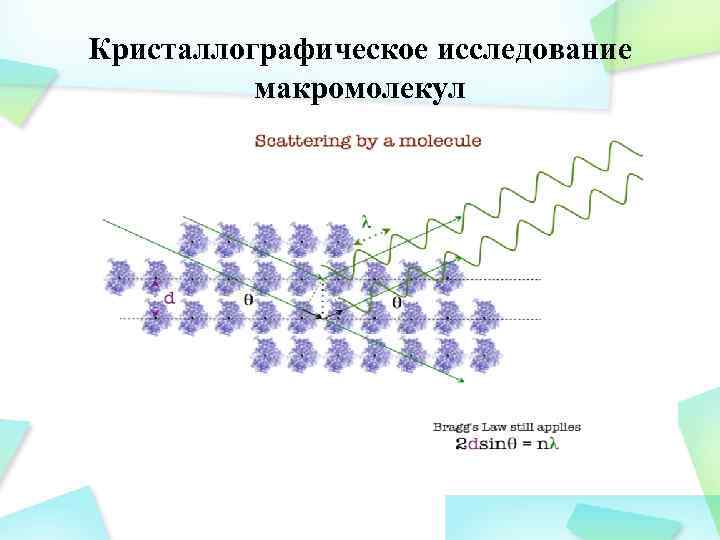 Кристаллографическое исследование макромолекул 