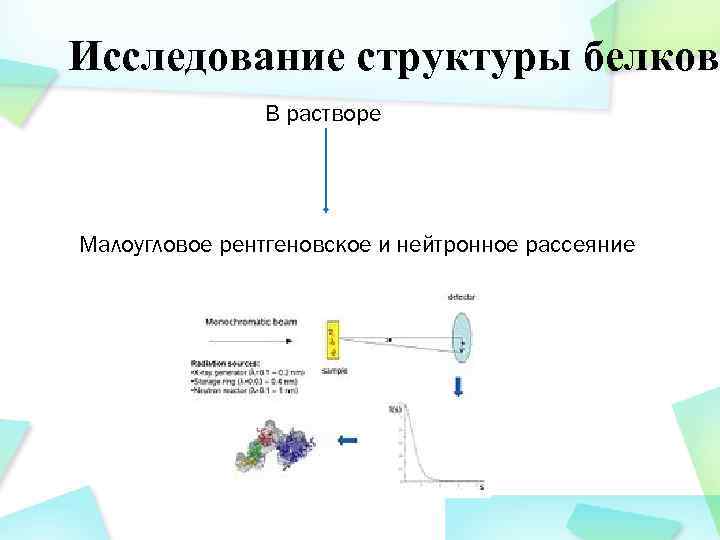 Исследование структуры белков В растворе Малоугловое рентгеновское и нейтронное рассеяние 