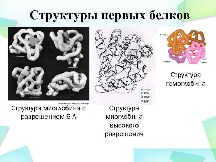 Структуры первых белков Структура гемоглобина Структура миоглобина с разрешением 6 А Структура миоглобина высокого