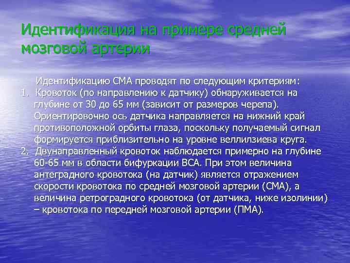 Идентификация на примере средней мозговой артерии Идентификацию СМА проводят по следующим критериям: 1. Кровоток