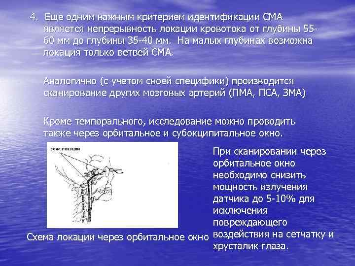 4. Еще одним важным критерием идентификации СМА является непрерывность локации кровотока от глубины 5560