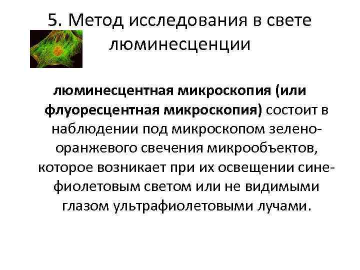 5. Метод исследования в свете люминесценции люминесцентная микроскопия (или флуоресцентная микроскопия) состоит в наблюдении