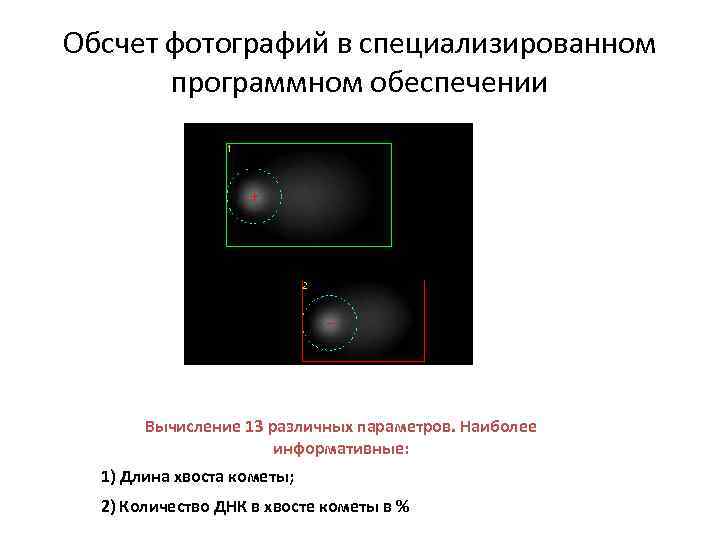 Обсчет фотографий в специализированном программном обеспечении Вычисление 13 различных параметров. Наиболее информативные: 1) Длина
