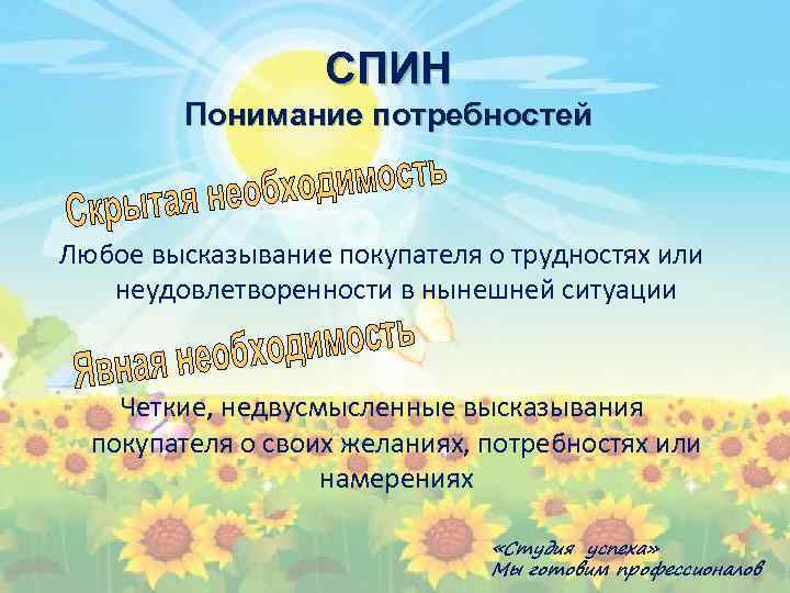 СПИН Понимание потребностей Любое высказывание покупателя о трудностях или неудовлетворенности в нынешней ситуации Четкие,