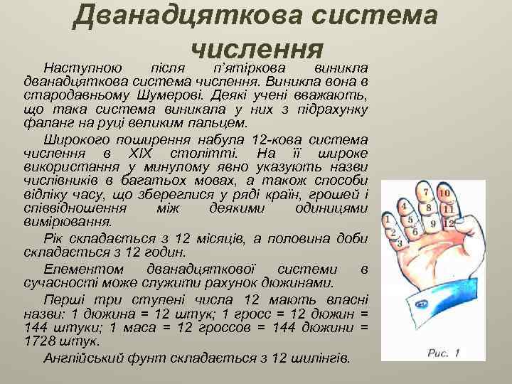 Дванадцяткова система числення Наступною після п’ятіркова виникла дванадцяткова система числення. Виникла вона в стародавньому