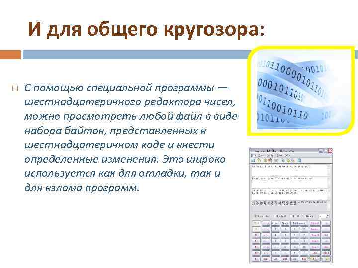 И для общего кругозора: С помощью специальной программы — шестнадцатеричного редактора чисел, можно просмотреть