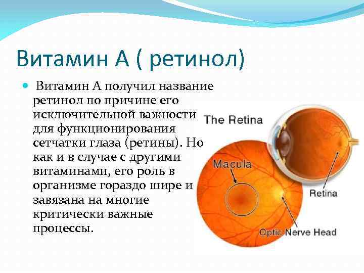 Витамин А ( ретинол) Витамин A получил название ретинол по причине его исключительной важности