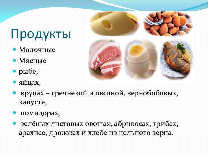 Продукты Молочные Мясные рыбе, яйцах, крупах – гречневой и овсяной, зернобобовых, капусте, помидорах, зелёных