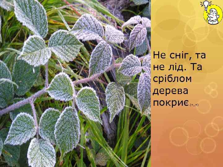 Не сніг, та не лід. Та сріблом дерева покриє. (+_+) 
