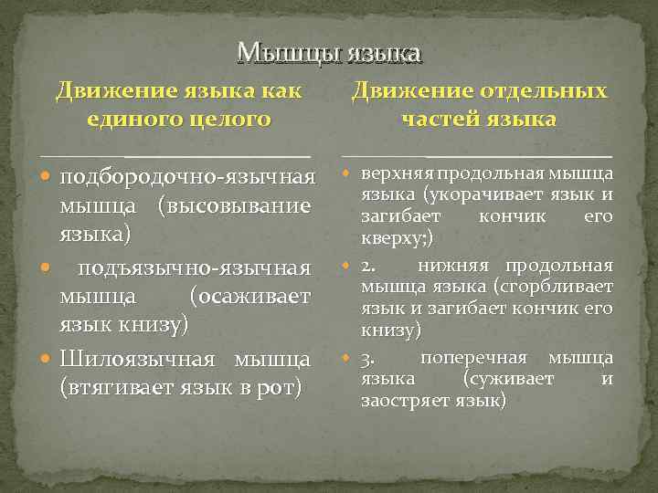 Мышцы языка Движение языка как единого целого Движение отдельных частей языка подбородочно-язычная верхняя продольная